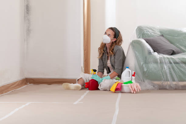 Reliable Mold Remediation contractor in Silver Lake, NJ by 24 Hour Mold Removal
